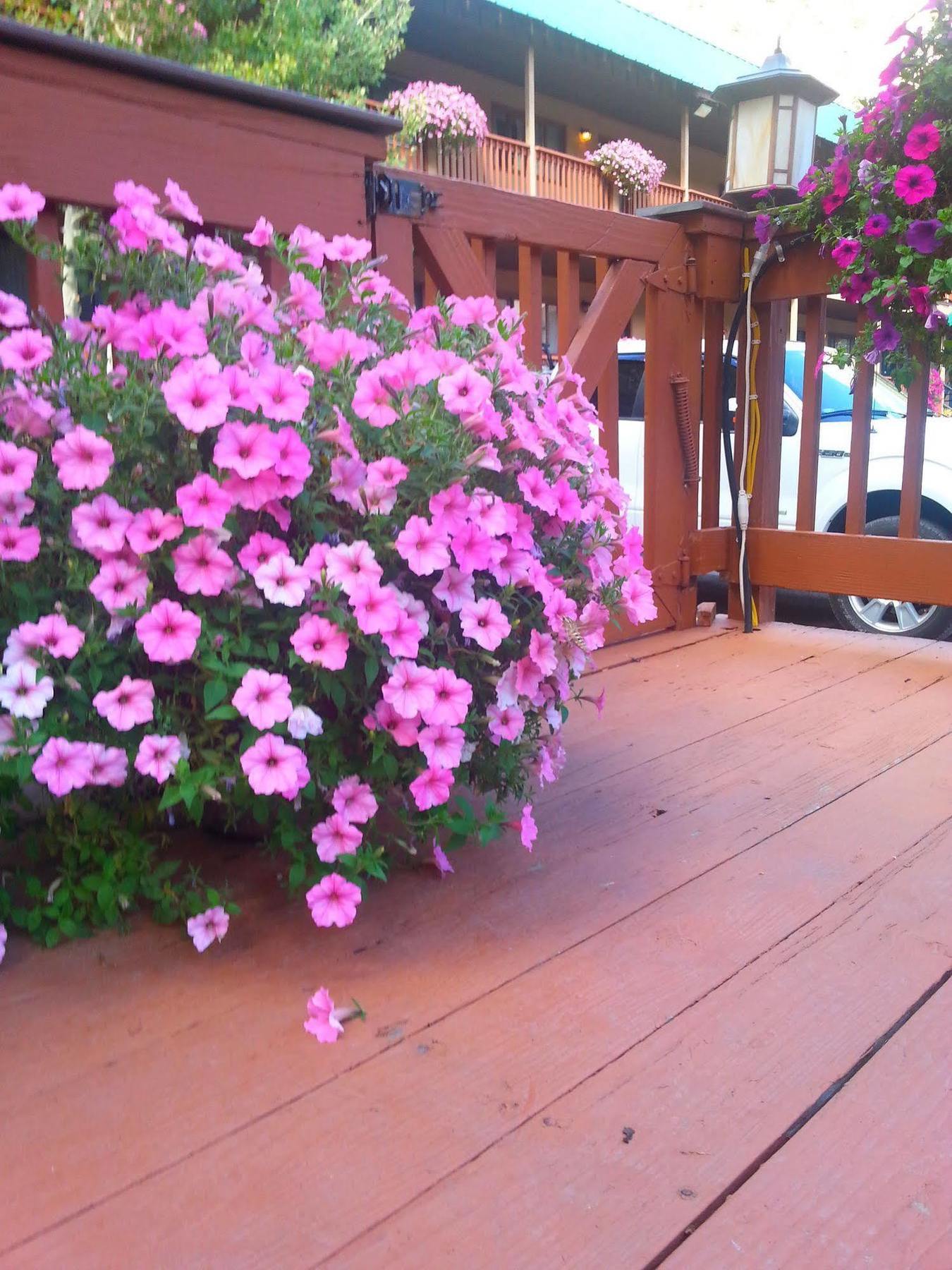Rivers Edge Motel Lodge & Resort Ouray Buitenkant foto